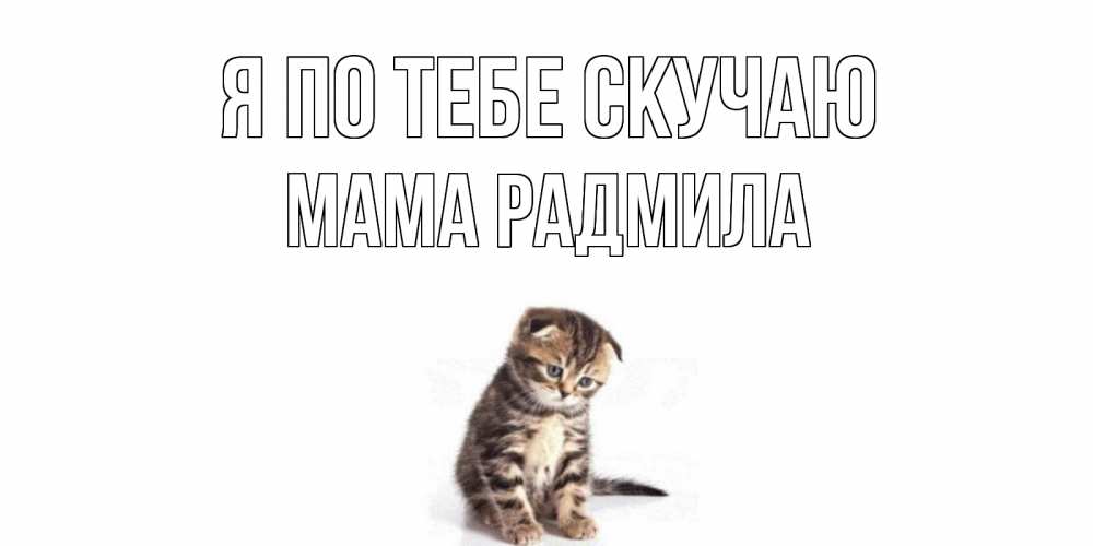 Открытка на каждый день с именем, Мама-Радмила Я по тебе скучаю кот Прикольная открытка с пожеланием онлайн скачать бесплатно 