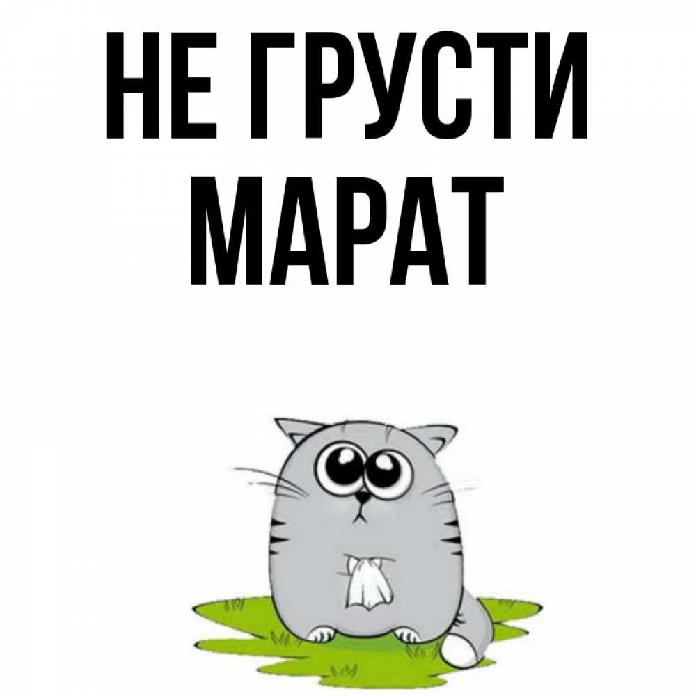 Открытка на каждый день с именем, Марат Не грусти грустный котяра Прикольная открытка с пожеланием онлайн скачать бесплатно 