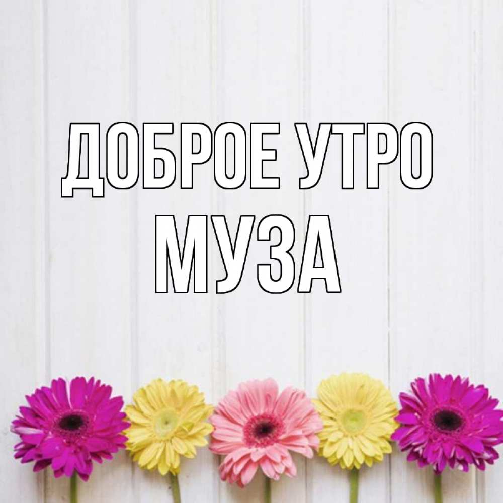 Открытка на каждый день с именем, Муза Доброе утро красный желтый и розовый цветок Прикольная открытка с пожеланием онлайн скачать бесплатно 