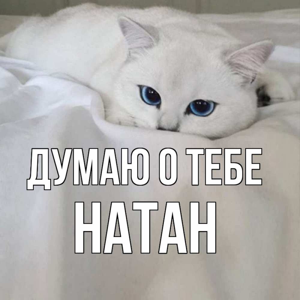 Открытка на каждый день с именем, Натан Думаю о тебе я очень по тебе скучаю и тоскую Прикольная открытка с пожеланием онлайн скачать бесплатно 