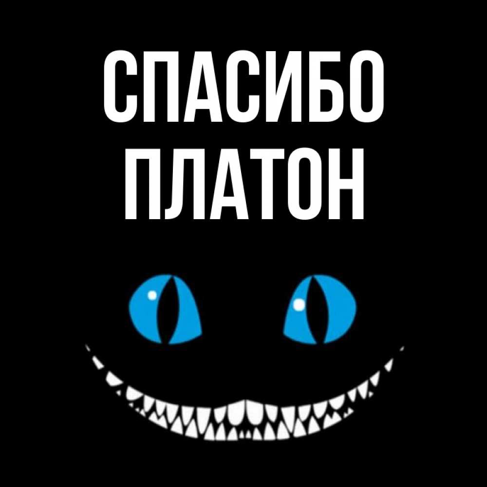 Открытка на каждый день с именем, Платон Спасибо благодарю от чеширика Прикольная открытка с пожеланием онлайн скачать бесплатно 
