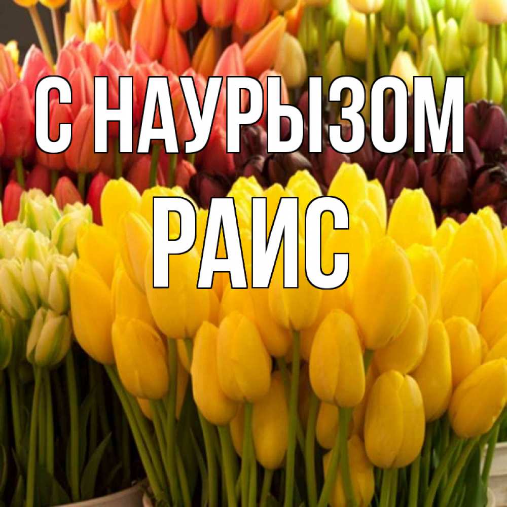 Открытка на каждый день с именем, Раис С наурызом цветы Прикольная открытка с пожеланием онлайн скачать бесплатно 