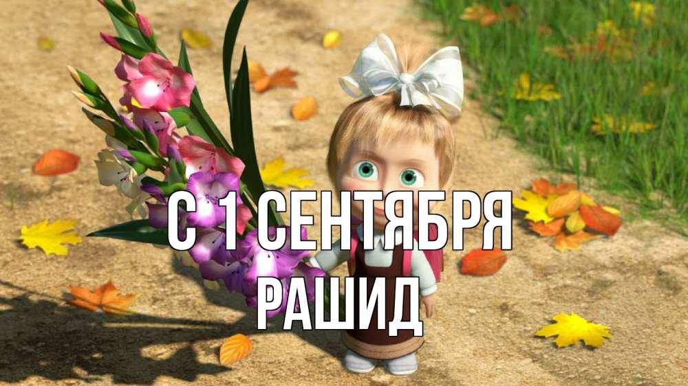 Открытка на каждый день с именем, Рашид С 1 сентября 1 сентября Прикольная открытка с пожеланием онлайн скачать бесплатно 