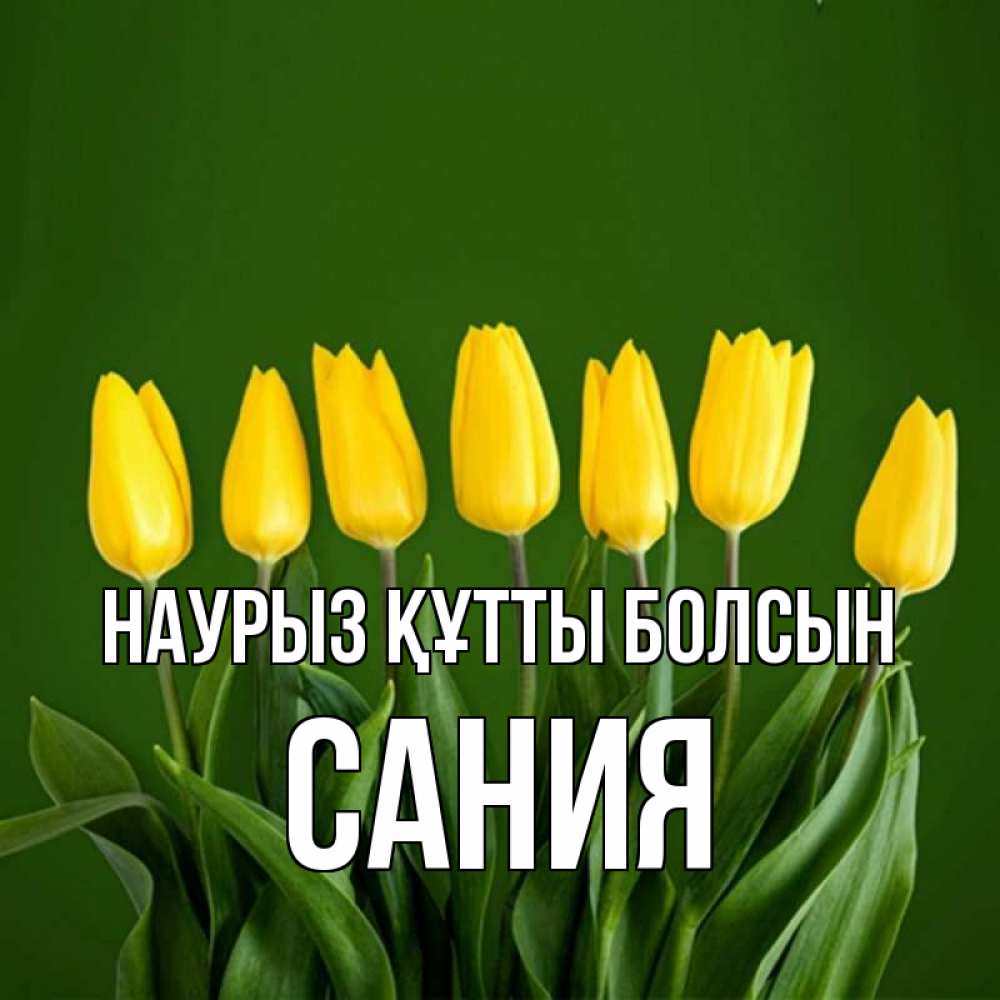 Открытка на каждый день с именем, Сания Наурыз құтты болсын желтого цвета 3 Прикольная открытка с пожеланием онлайн скачать бесплатно 
