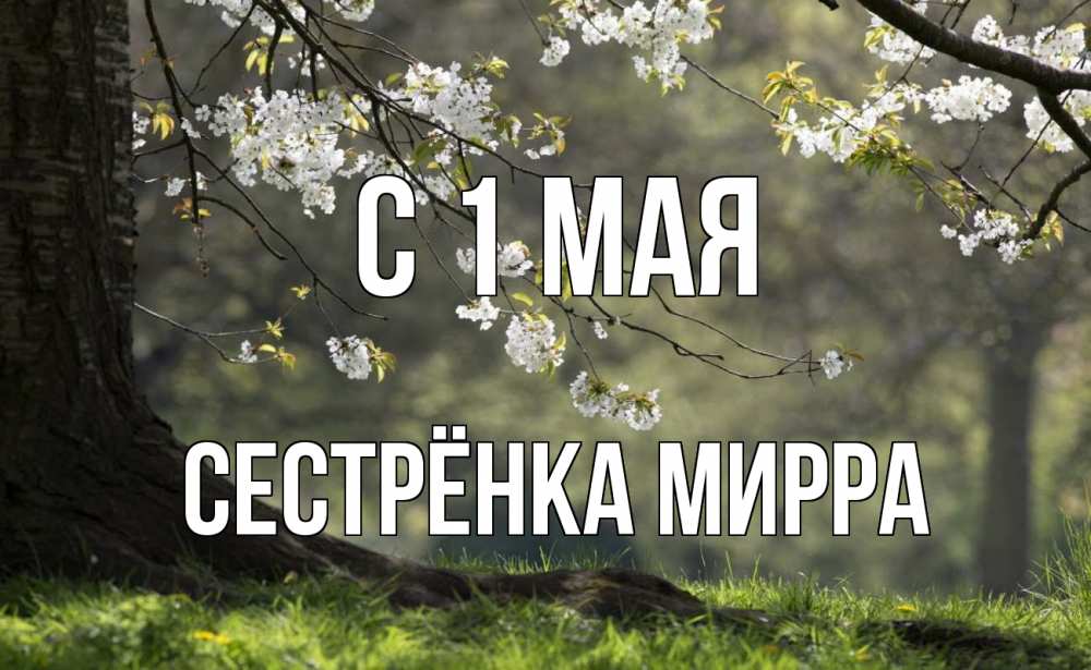Открытка на каждый день с именем, Сестрёнка-Мирра С 1 мая С 1 мая Прикольная открытка с пожеланием онлайн скачать бесплатно 