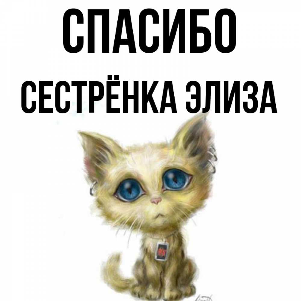 Открытка на каждый день с именем, Сестрёнка-Элиза Спасибо рисованный кот благодарит вас Прикольная открытка с пожеланием онлайн скачать бесплатно 