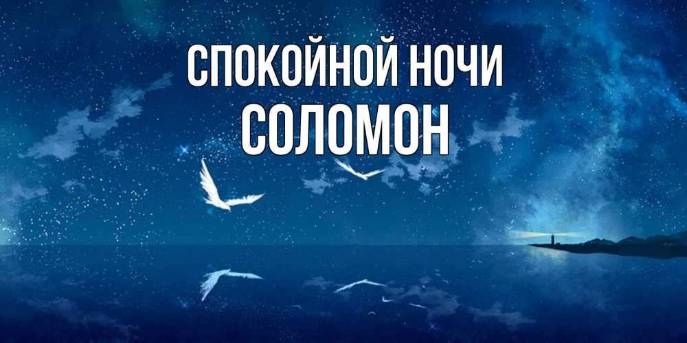 Открытка на каждый день с именем, Соломон Спокойной ночи птицы летят на фоне ночного неба Прикольная открытка с пожеланием онлайн скачать бесплатно 