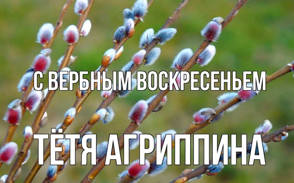 Открытка на каждый день с именем, Тётя-Агриппина С вербным воскресеньем верба Прикольная открытка с пожеланием онлайн скачать бесплатно 