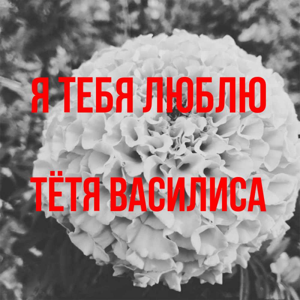 Открытка на каждый день с именем, Тётя-Василиса Я тебя люблю подпись Прикольная открытка с пожеланием онлайн скачать бесплатно 
