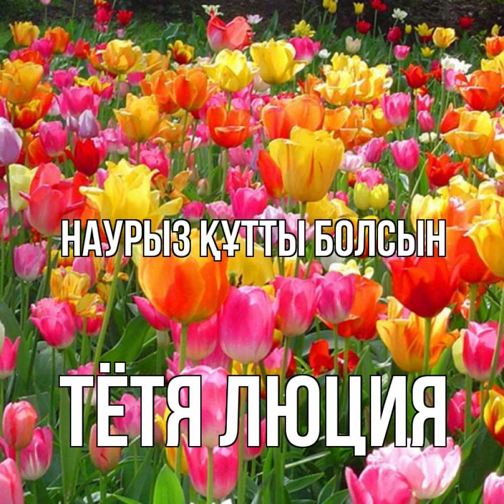 Открытка на каждый день с именем, Тётя-Люция Наурыз құтты болсын на наурыз  ура ура Прикольная открытка с пожеланием онлайн скачать бесплатно 