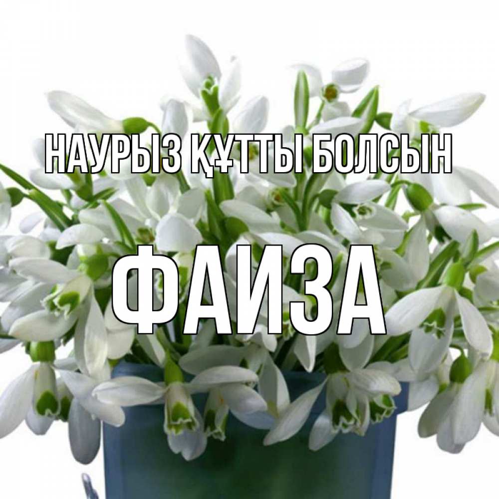 Открытка на каждый день с именем, Фаиза Наурыз құтты болсын цветы к наурызу Прикольная открытка с пожеланием онлайн скачать бесплатно 