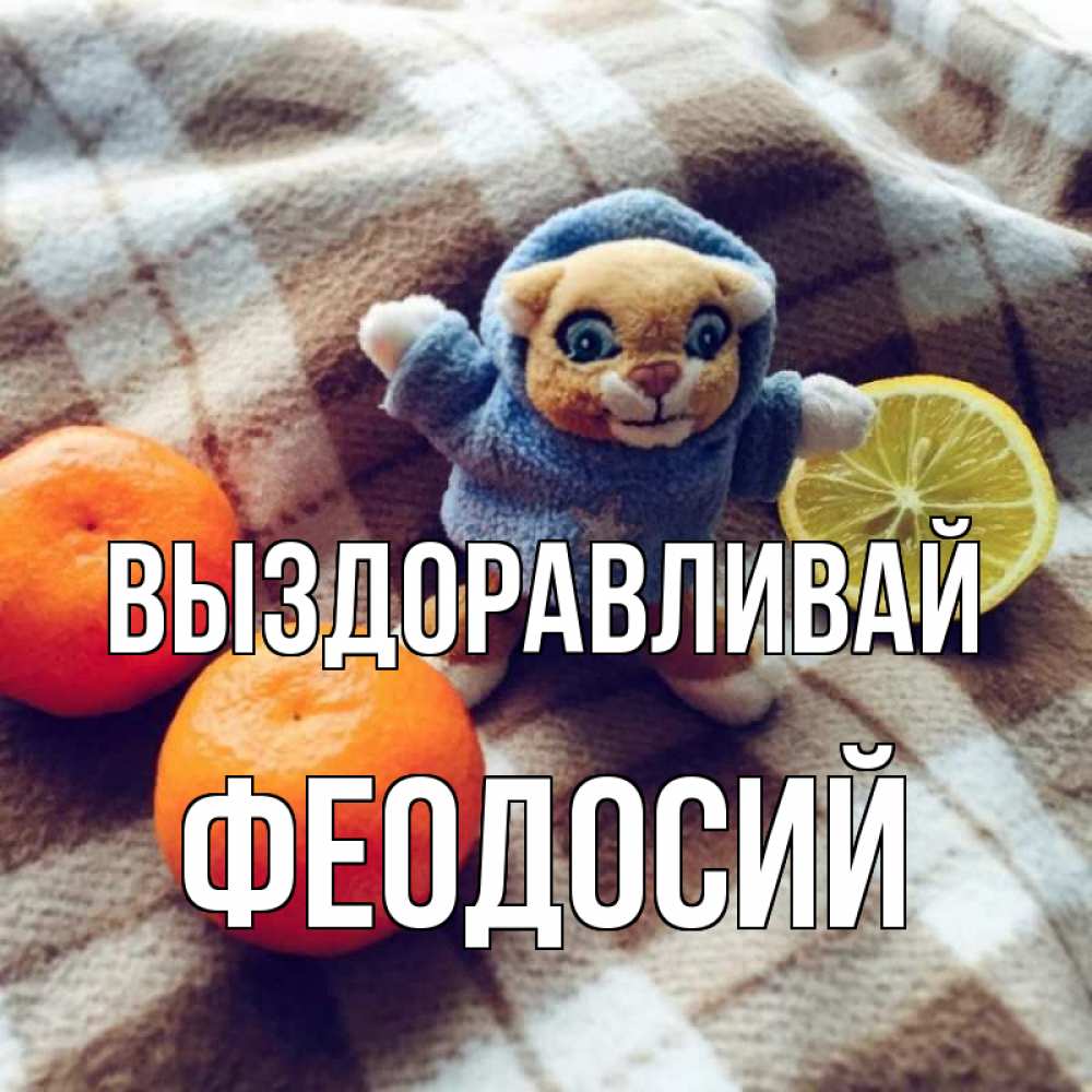 Открытка на каждый день с именем, Феодосий Выздоравливай вот тебе апельсинка и лимон Прикольная открытка с пожеланием онлайн скачать бесплатно 