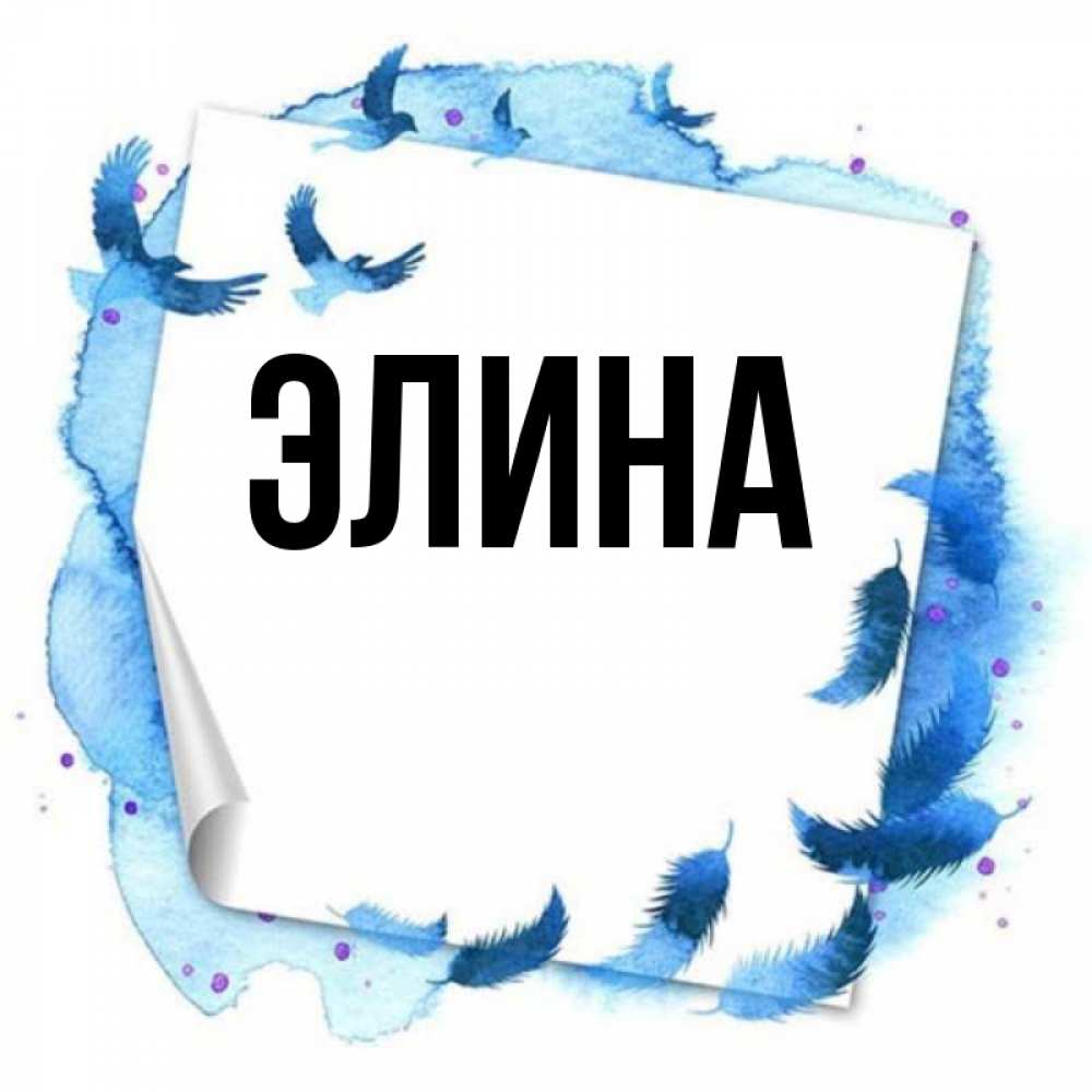 Открытка на каждый день с именем, Элина Главная красивые птицы летят Прикольная открытка с пожеланием онлайн скачать бесплатно 