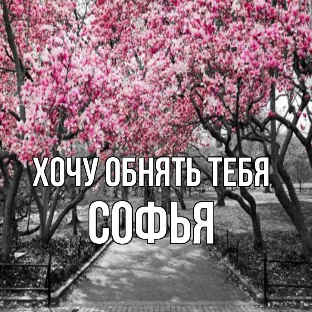 Открытка на каждый день с именем, Софья Хочу обнять тебя обработанное фото Прикольная открытка с пожеланием онлайн скачать бесплатно 