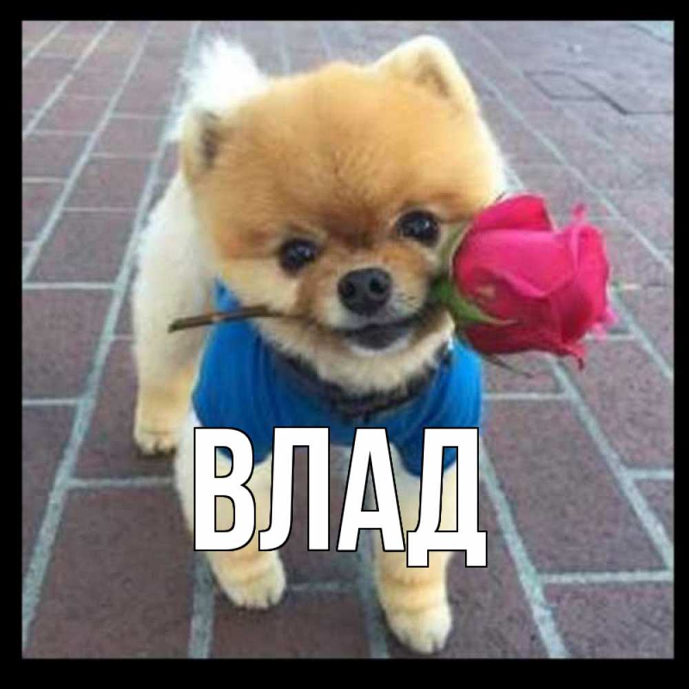 Картинка  с именем , Влад