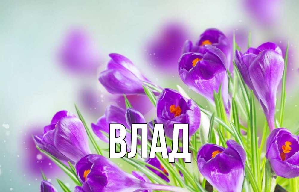 Картинка  с именем , Влад