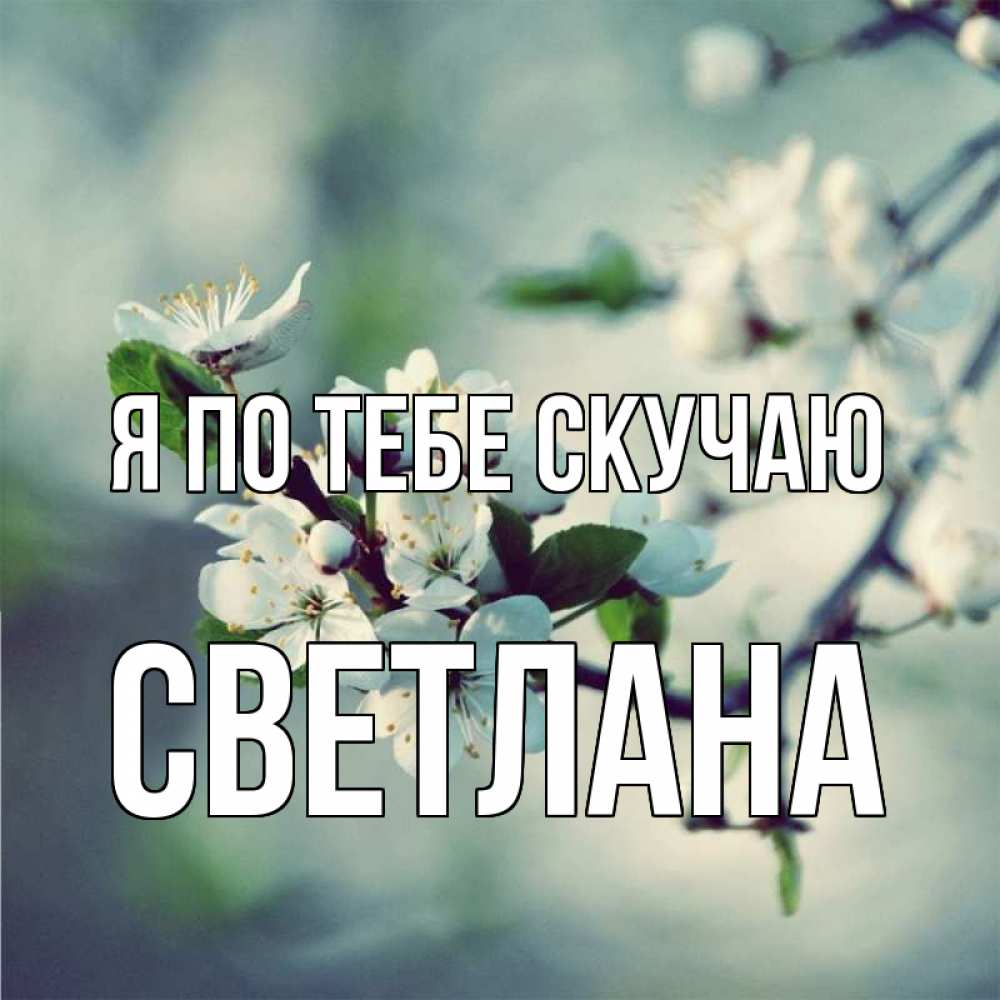 Открытка на каждый день с именем, Светлана Я по тебе скучаю весна Прикольная открытка с пожеланием онлайн скачать бесплатно 