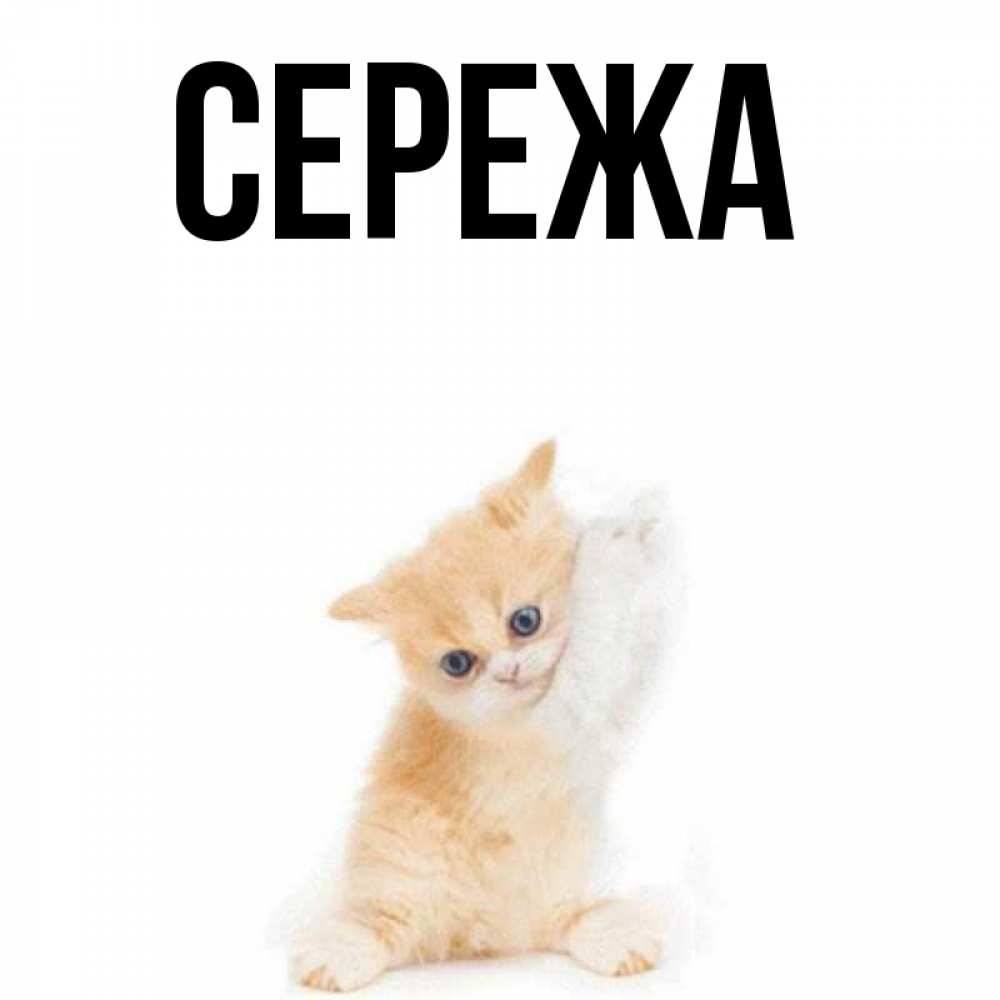 Картинки с именем сережа