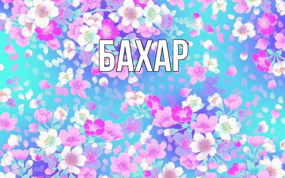 Открытка на каждый день с именем, Бахар Главная открытка с заливкой Прикольная открытка с пожеланием онлайн скачать бесплатно 
