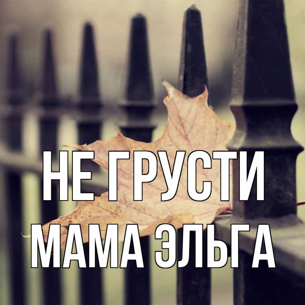 Открытка на каждый день с именем, Мама-Эльга Не грусти лист клена Прикольная открытка с пожеланием онлайн скачать бесплатно 
