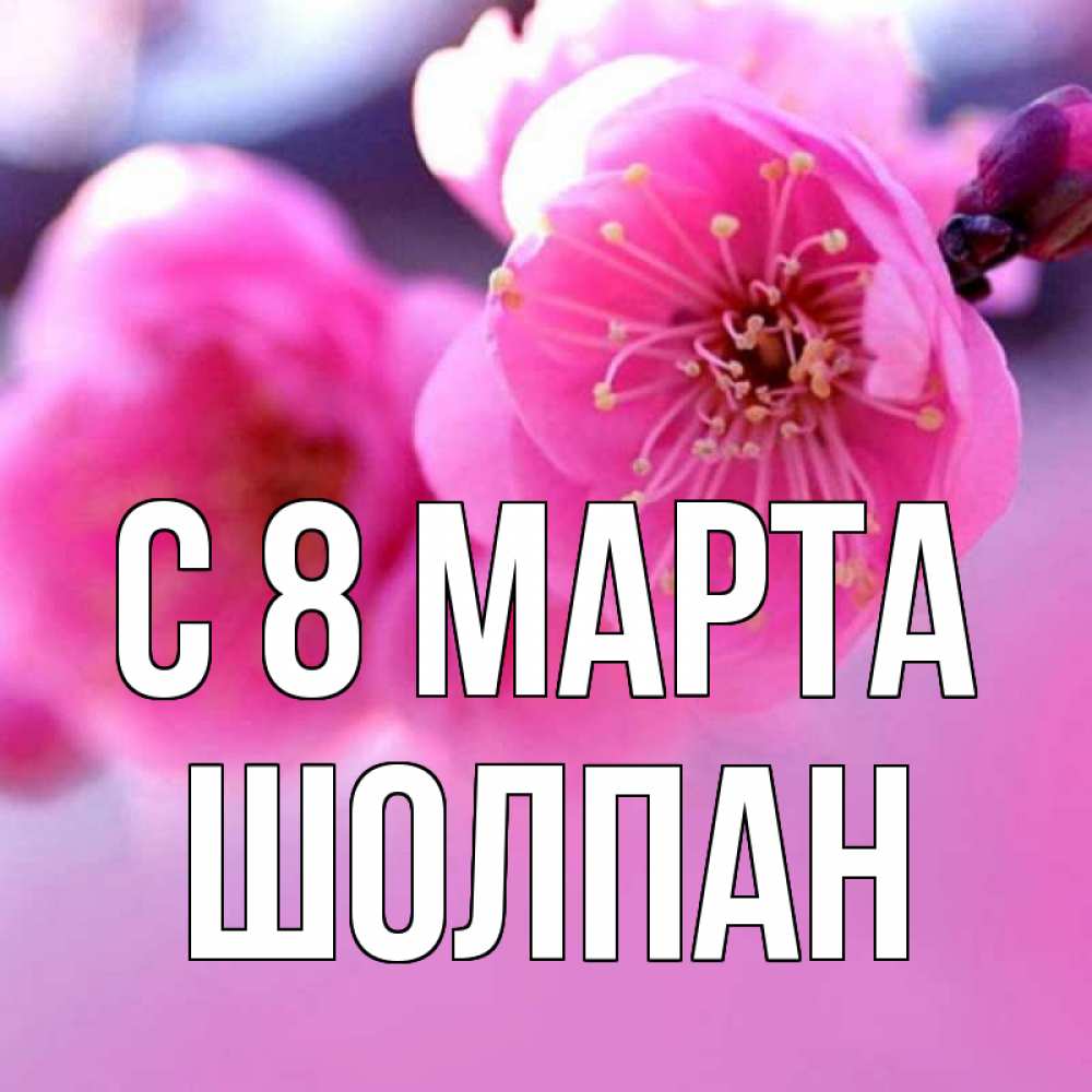 Открытка на каждый день с именем, Шолпан С 8 МАРТА международный женский день Прикольная открытка с пожеланием онлайн скачать бесплатно 