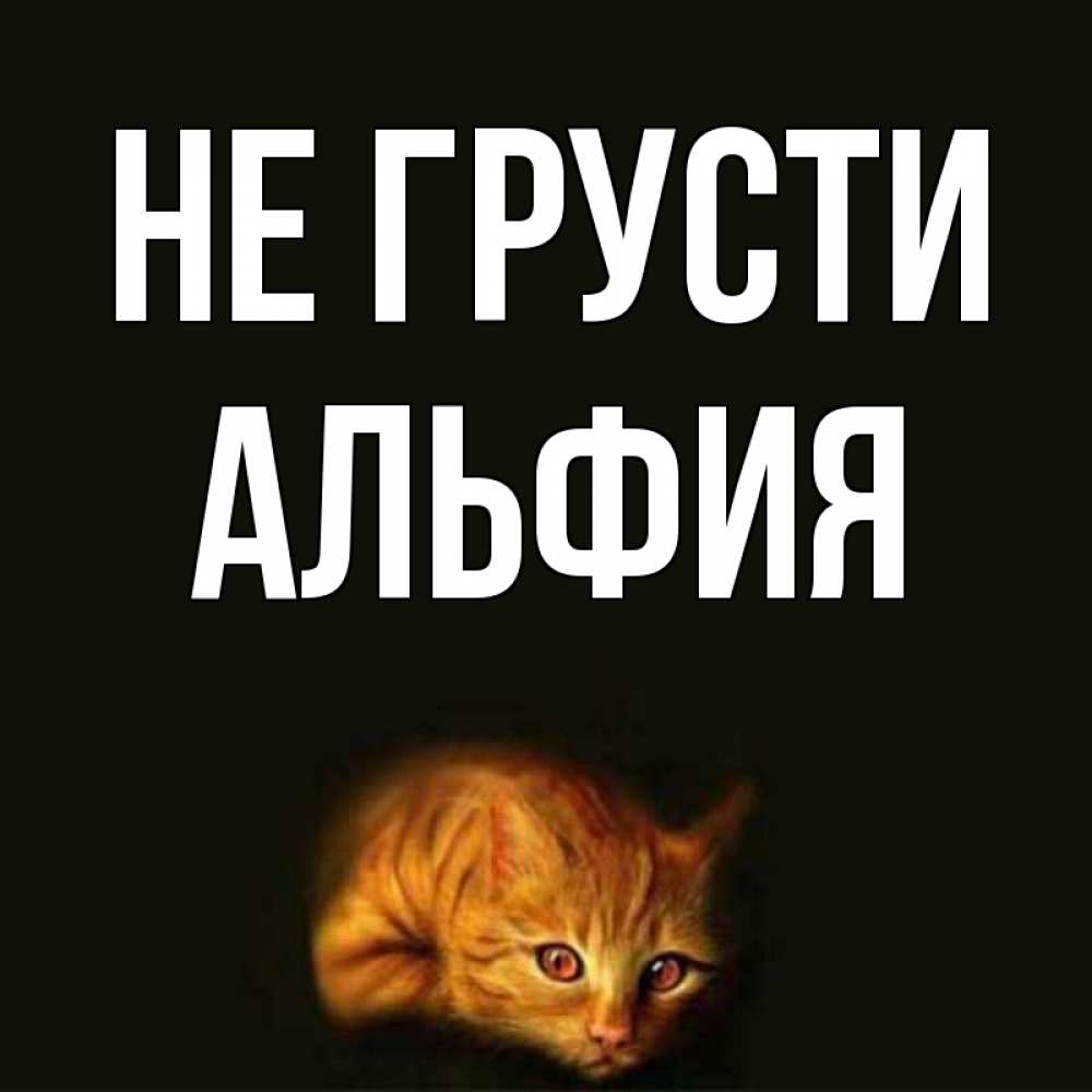Открытка на каждый день с именем, Альфия Не грусти лежащий кот в темноте Прикольная открытка с пожеланием онлайн скачать бесплатно 