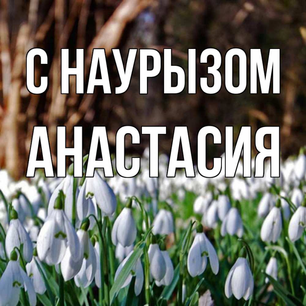 Открытка на каждый день с именем, Анастасия С наурызом с подснежниками 1 Прикольная открытка с пожеланием онлайн скачать бесплатно 