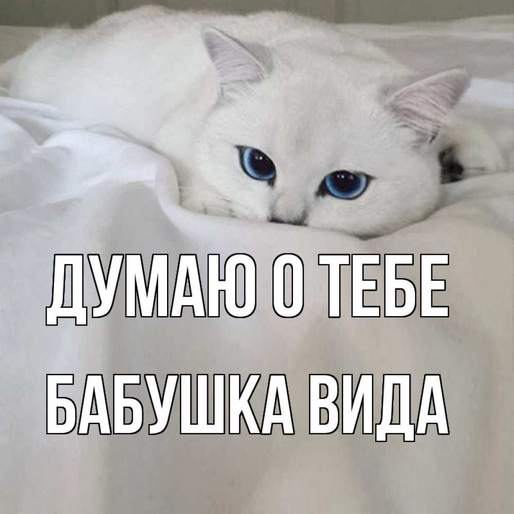 Открытка на каждый день с именем, Бабушка-Вида Думаю о тебе я очень по тебе скучаю и тоскую Прикольная открытка с пожеланием онлайн скачать бесплатно 