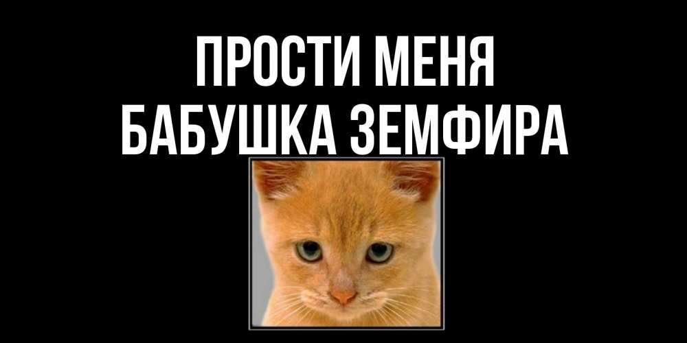 Открытка на каждый день с именем, Бабушка-Земфира Прости меня рыжий грустный кот просит прощения Прикольная открытка с пожеланием онлайн скачать бесплатно 