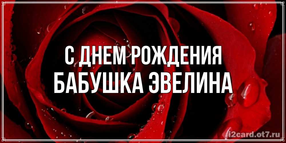 Открытка на каждый день с именем, Бабушка-Эвелина С днем рождения крупная бордовая роза Прикольная открытка с пожеланием онлайн скачать бесплатно 