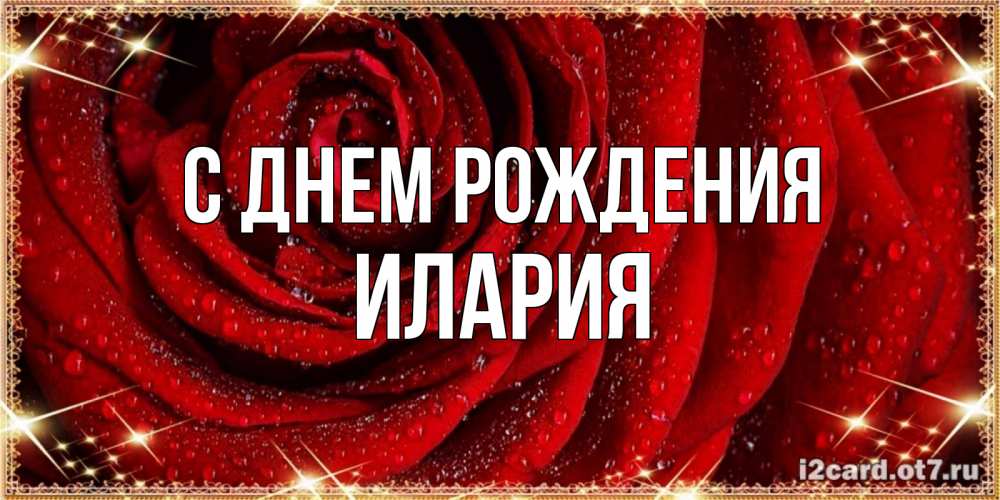 Открытка на каждый день с именем, Илария С днем рождения роса на розе блестящая в лучах солнца Прикольная открытка с пожеланием онлайн скачать бесплатно 