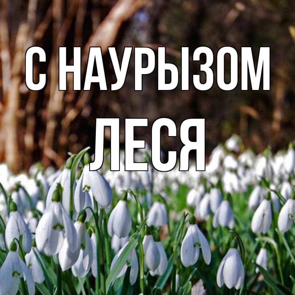 Открытка на каждый день с именем, Леся С наурызом с подснежниками 1 Прикольная открытка с пожеланием онлайн скачать бесплатно 