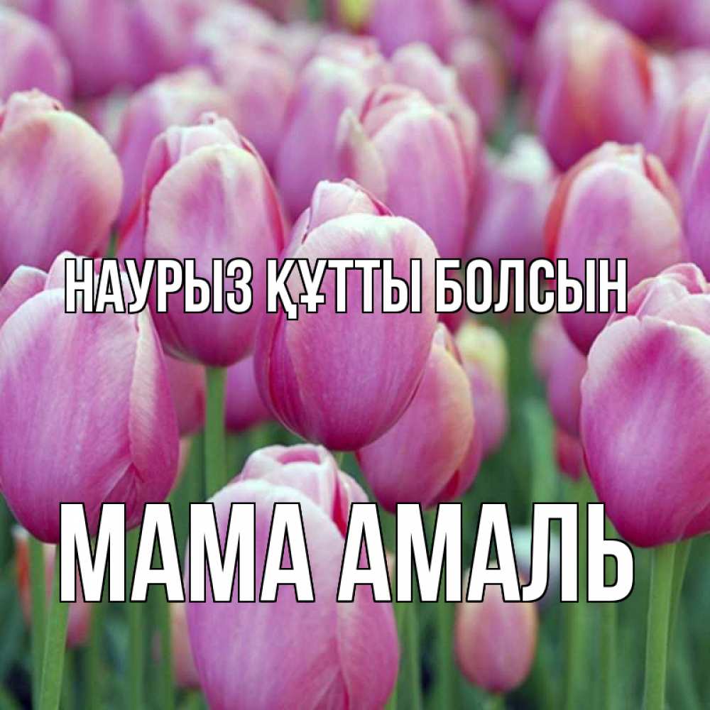 Открытка на каждый день с именем, Мама-Амаль Наурыз құтты болсын на наурыз  день 3 Прикольная открытка с пожеланием онлайн скачать бесплатно 
