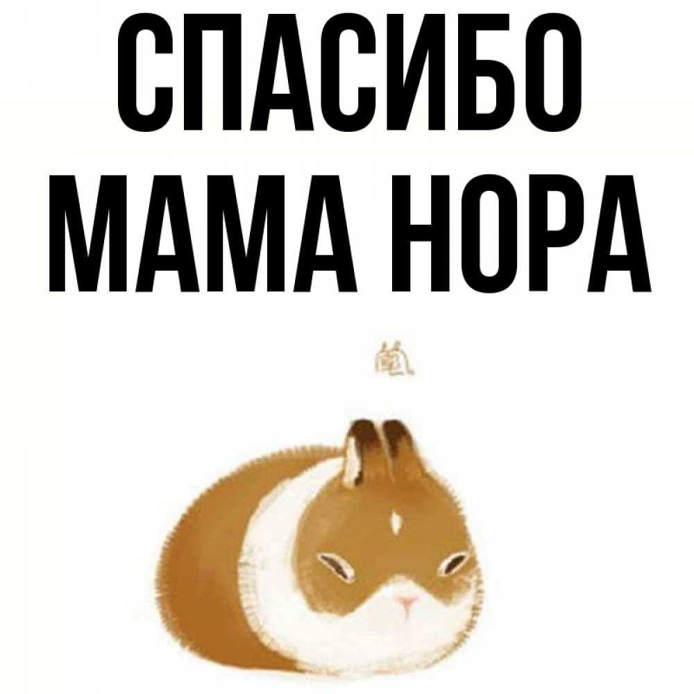 Открытка на каждый день с именем, Мама-Нора Спасибо коричнево белый домашний питомец Прикольная открытка с пожеланием онлайн скачать бесплатно 