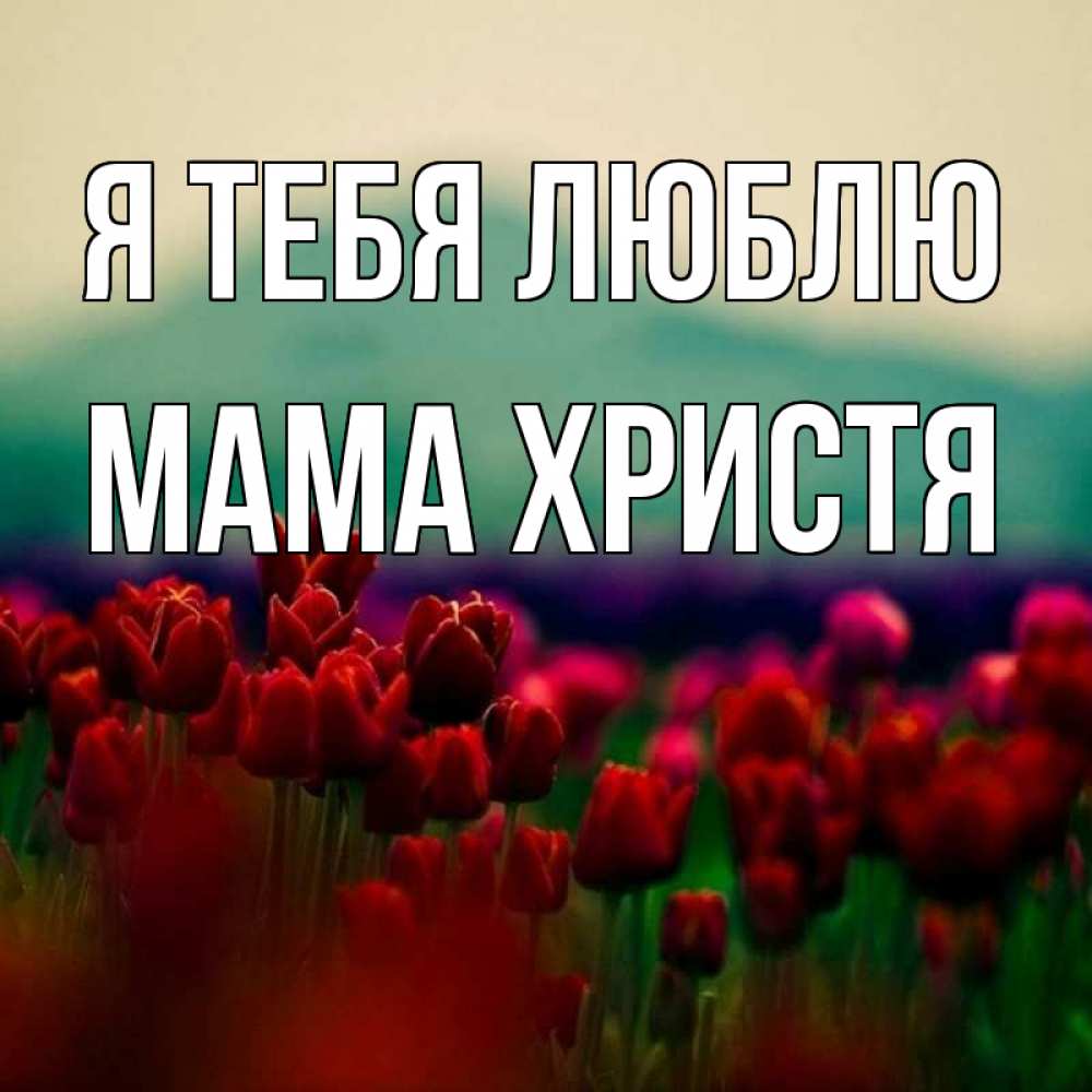 Открытка на каждый день с именем, Мама-Христя Я тебя люблю тюльпаны 4 Прикольная открытка с пожеланием онлайн скачать бесплатно 