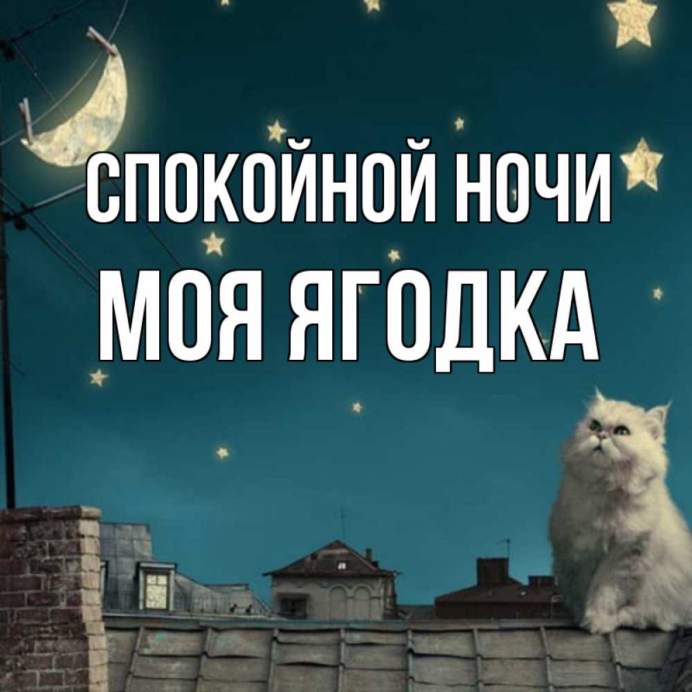 Открытка на каждый день с именем, Моя-ягодка Спокойной ночи белый кот сидит на крыше Прикольная открытка с пожеланием онлайн скачать бесплатно 