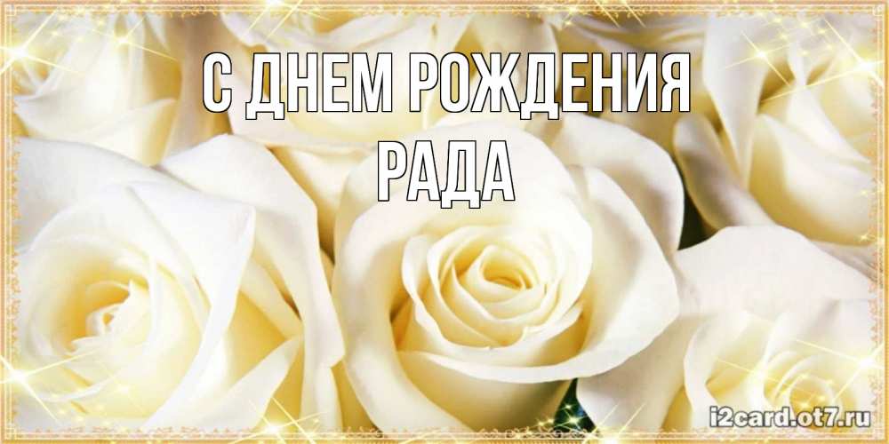 Открытка на каждый день с именем, Рада С днем рождения розочки белого цвета на открытке Прикольная открытка с пожеланием онлайн скачать бесплатно 
