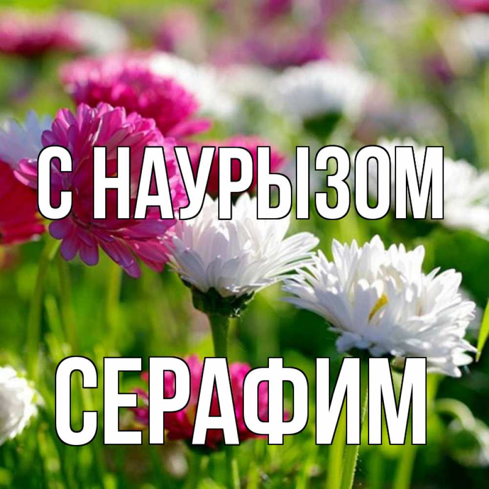 Открытка на каждый день с именем, Серафим С наурызом праздник весны наурыз красота Прикольная открытка с пожеланием онлайн скачать бесплатно 