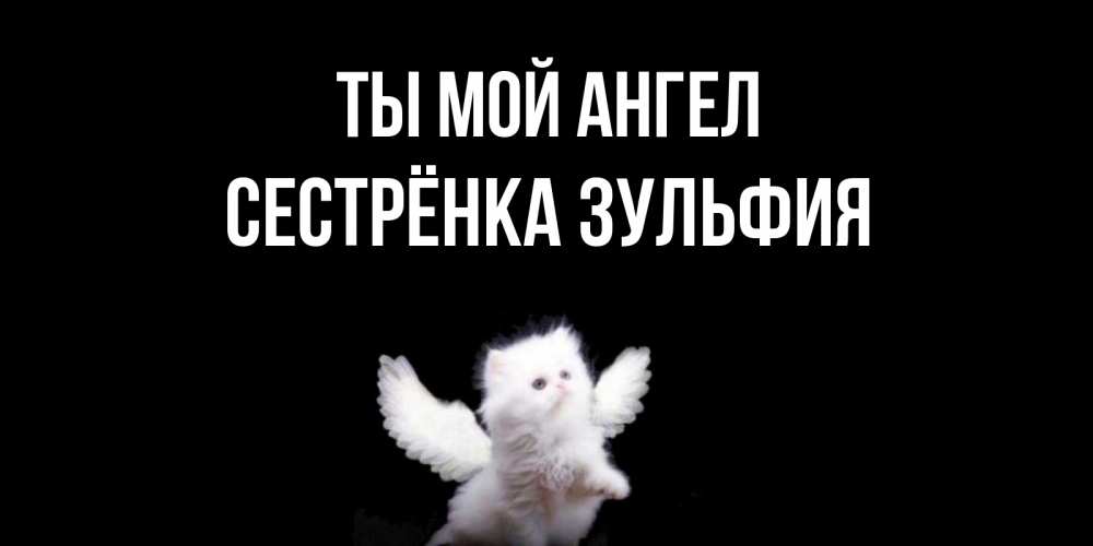Открытка на каждый день с именем, Сестрёнка-Зульфия Ты мой ангел Кот ангел Прикольная открытка с пожеланием онлайн скачать бесплатно 