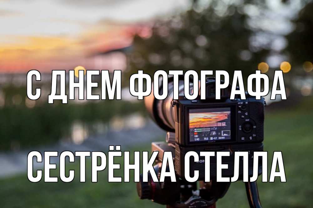 Открытка на каждый день с именем, Сестрёнка-Стелла С днем фотографа с днем фотографа Прикольная открытка с пожеланием онлайн скачать бесплатно 