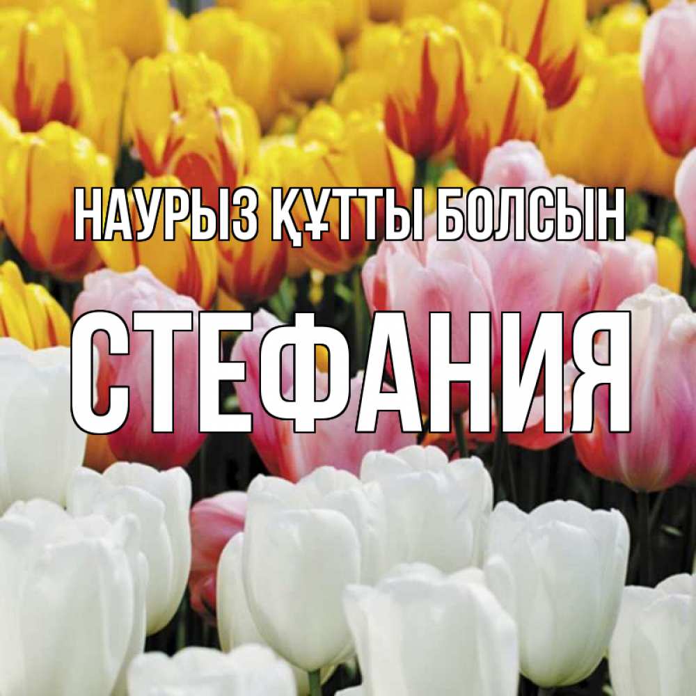 Открытка на каждый день с именем, Стефания Наурыз құтты болсын разноцветные цветы Прикольная открытка с пожеланием онлайн скачать бесплатно 