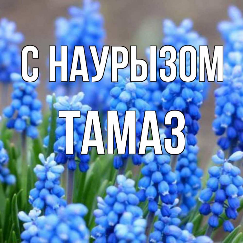 Открытка на каждый день с именем, Тамаз С наурызом Поздравительная открытка для женщин с цветами на праздничную дату Прикольная открытка с пожеланием онлайн скачать бесплатно 