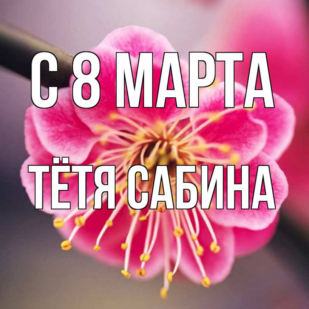 Открытка на каждый день с именем, Тётя-Сабина С 8 МАРТА цветы Прикольная открытка с пожеланием онлайн скачать бесплатно 