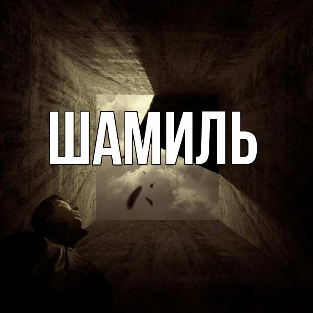 Открытка на каждый день с именем, Шамиль Главная жуть Прикольная открытка с пожеланием онлайн скачать бесплатно 