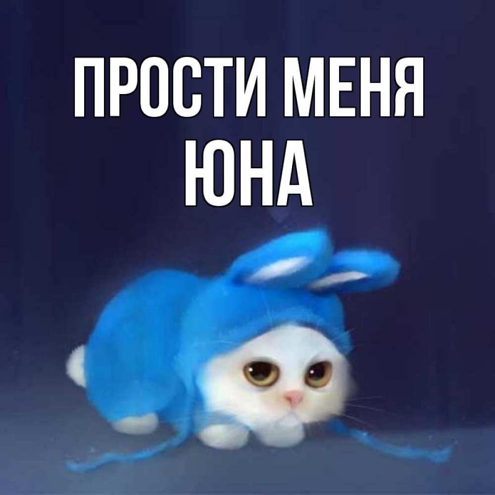 Открытка на каждый день с именем, Юна Прости меня невинный котозай просит прощения Прикольная открытка с пожеланием онлайн скачать бесплатно 