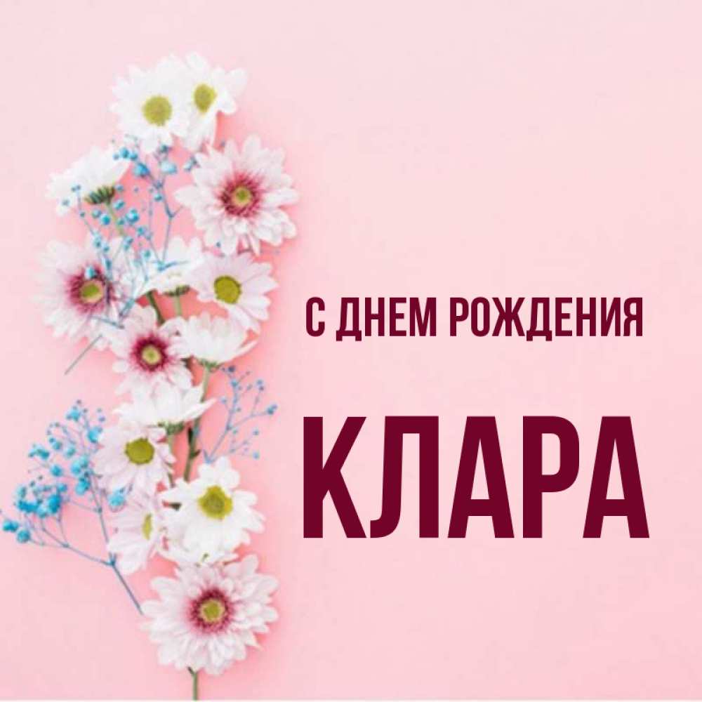 Открытка на каждый день с именем, клара С днем рождения Родная моя с днем рождения тебя картинка с цветами белыми и голубыми Прикольная открытка с пожеланием онлайн скачать бесплатно 