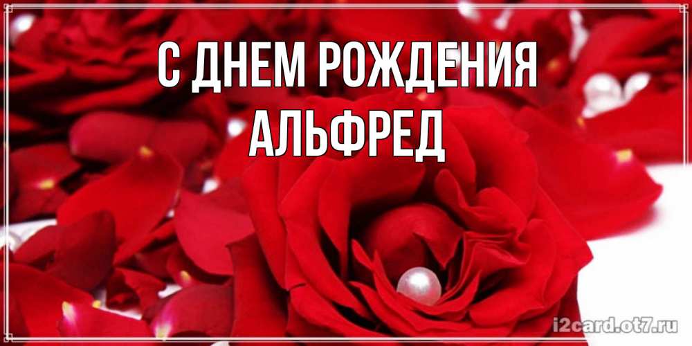 Открытка на каждый день с именем, Альфред С днем рождения роза с жемчужиной на открытке для любимых Прикольная открытка с пожеланием онлайн скачать бесплатно 