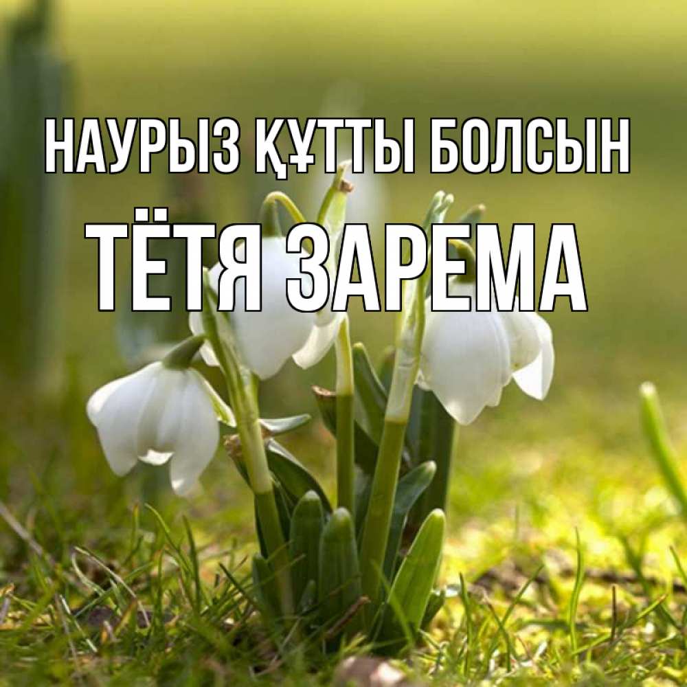 Открытка на каждый день с именем, Тётя-Зарема Наурыз құтты болсын ранние цветы 2 Прикольная открытка с пожеланием онлайн скачать бесплатно 