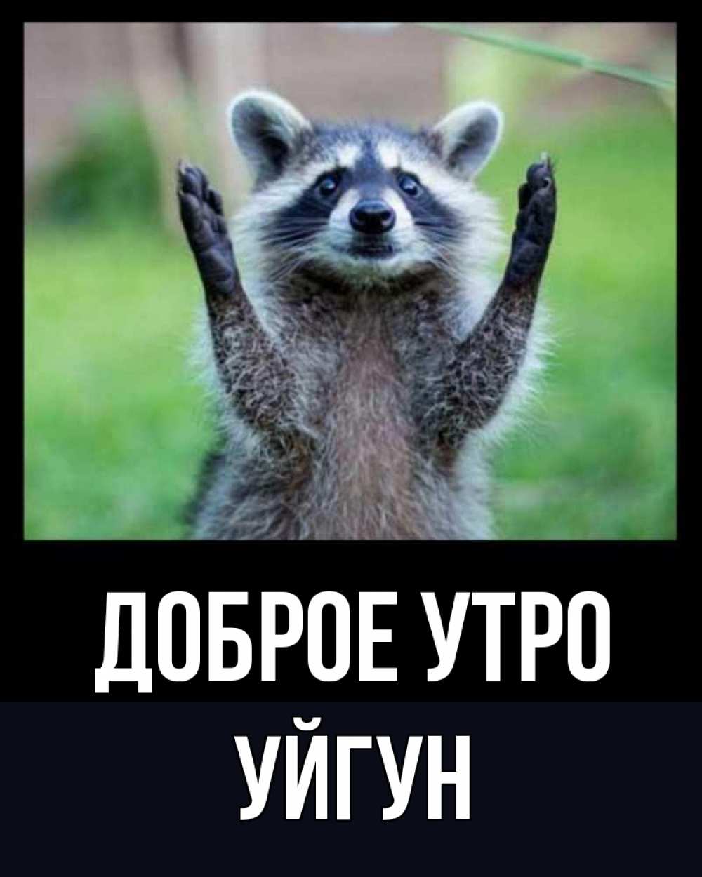Картинка Доброе утро, Уйгун
