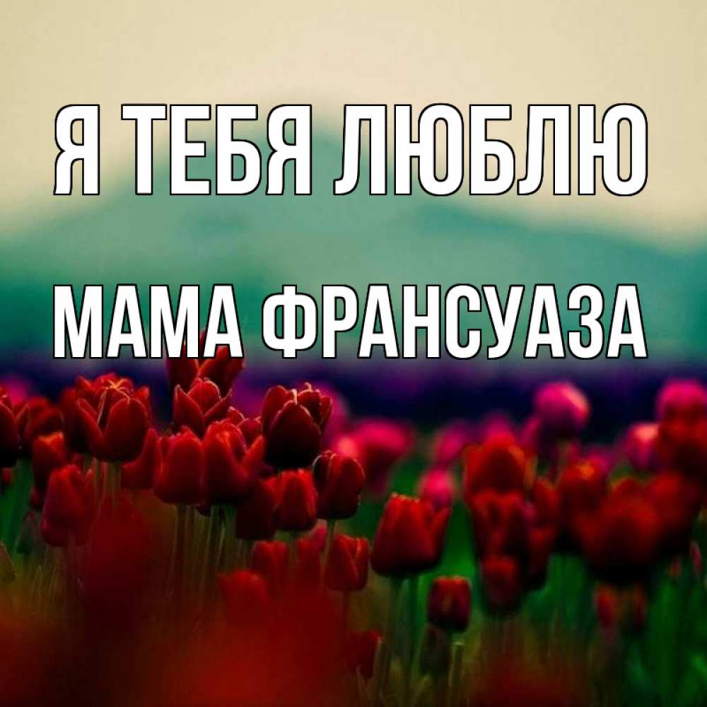 Открытка на каждый день с именем, Мама-Франсуаза Я тебя люблю тюльпаны 4 Прикольная открытка с пожеланием онлайн скачать бесплатно 